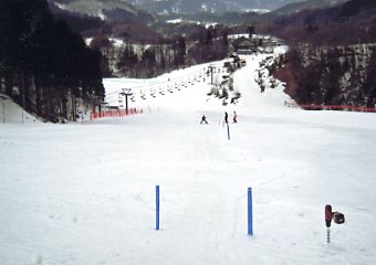 �������q