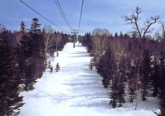 �Õʁ@�X�L�[��