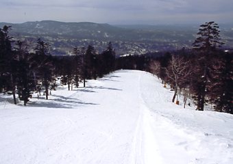 �Õʁ@�X�L�[��