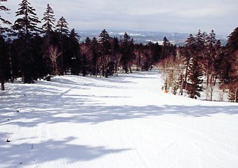 �Õʁ@�X�L�[��