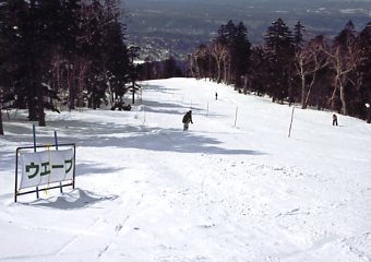 �Õʁ@�X�L�[��