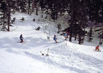 �Õʁ@�X�L�[��