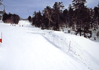 �Õʁ@�X�L�[��