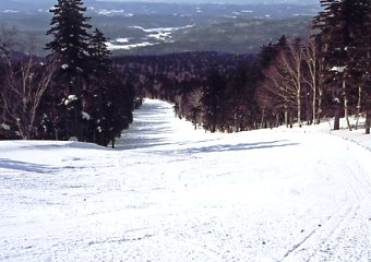 �Õʁ@�X�L�[��