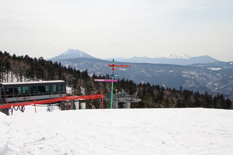 �Y�����Ǝ�����