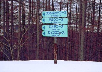 �X�L�[�@���r�E�X