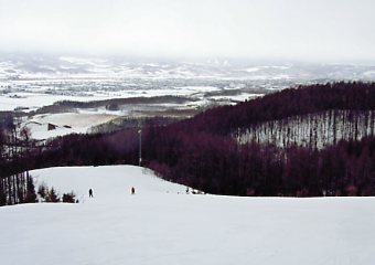 �X�L�[�@���r�E�X