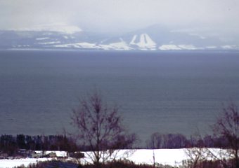 �I�z�[�c�N�C