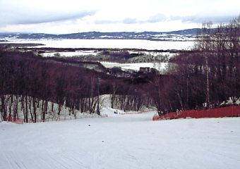 �ԑ����C�N�r���[