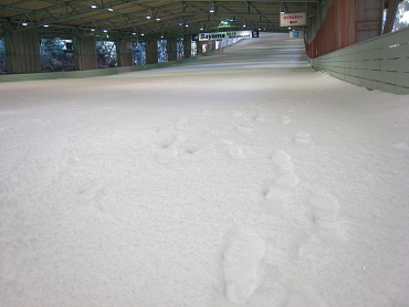 ���R�X�L�[��