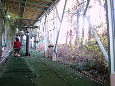 ���R�X�L�[��