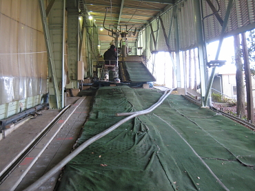 ���R�X�L�[��