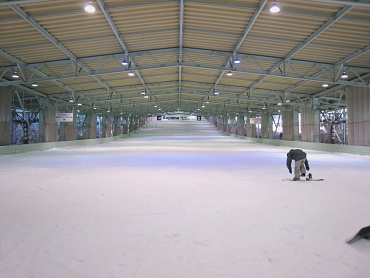 ���R�X�L�[��