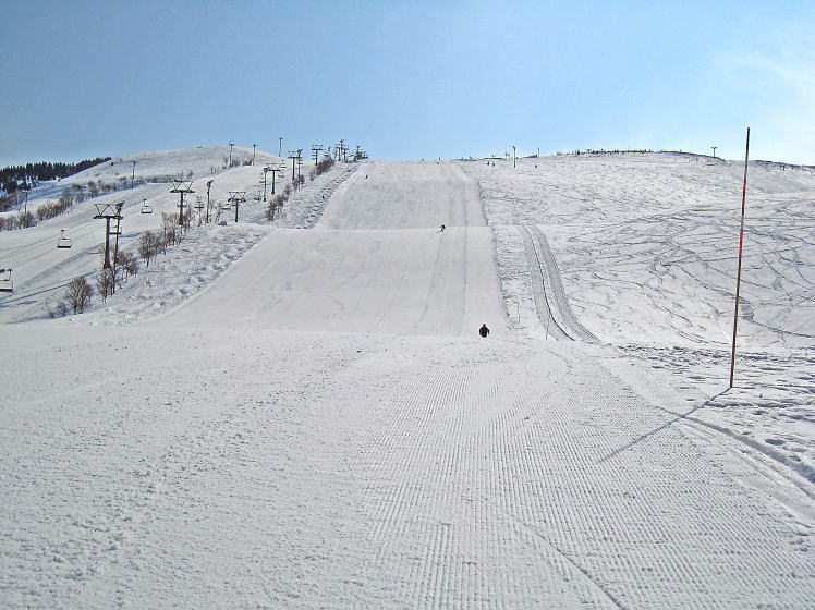 �W���l�X�I��