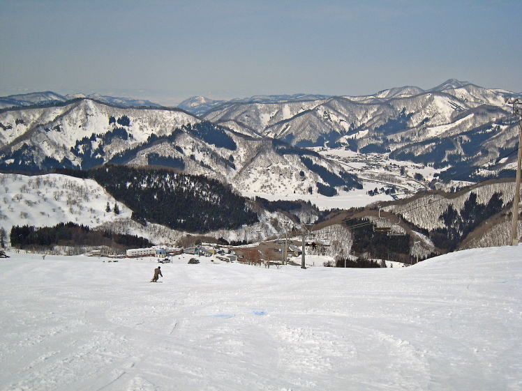 �W���l�X�I��