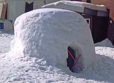 �W���l�X�I��