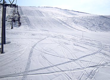 �W���l�X�I��