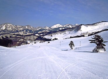 �W���l�X�I��