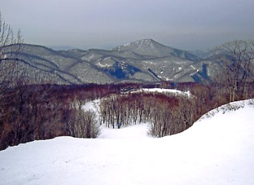 �X�v�����O�o���[