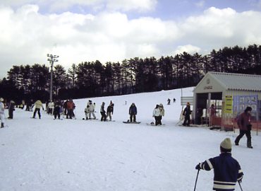 �x�A�o���[