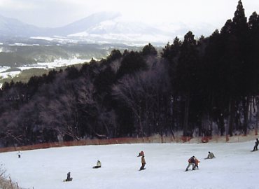 �x�A�o���[