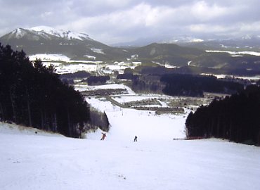 �Ђ邺��x�A�o���[