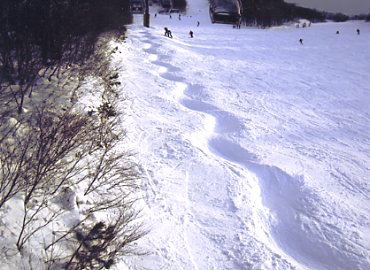 ��R�X�L�[��