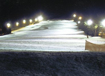 �����X�L�[��