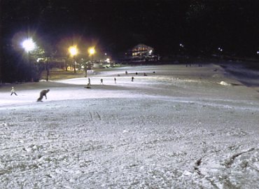 �����X�L�[��