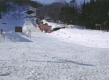 ���}�V�Q�X�L�[�O�����h