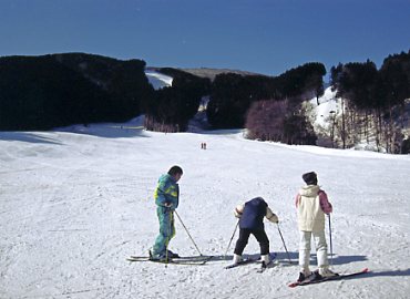 �Ђ낵�܌����̐X