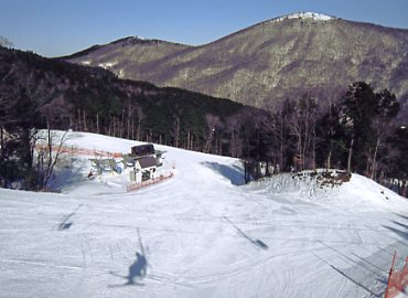 �Ђ낵�܌����̐X