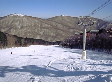 �Ђ낵�܌����̐X