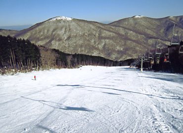 �Ђ낵�܌����̐X�X�L�[��