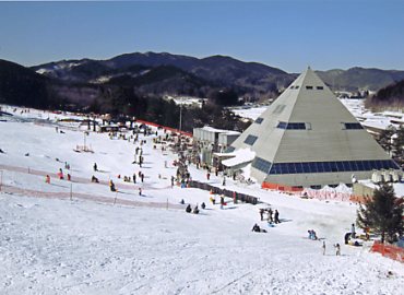 �L�R�X�L�[��