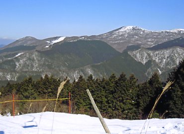 �L�R�X�L�[��