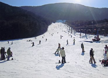 �L�R�X�L�[��