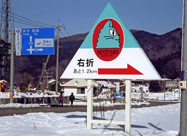 �L�R�X�L�[��