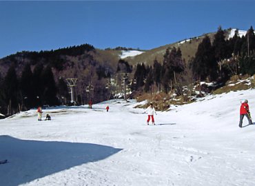 �Ԍ��R�X�L�[��