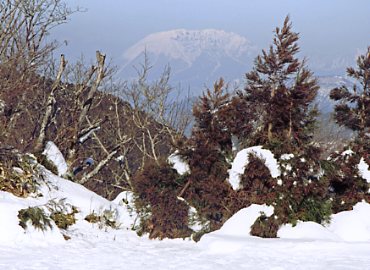 �Ԍ��R�X�L�[��