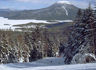 �Y�����x