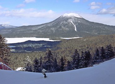 �Y�����x