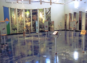 �����΁@�G�R