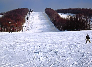 �E�i�x�c�X�L�[��