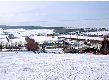 �E�i�x�c�X�L�[��