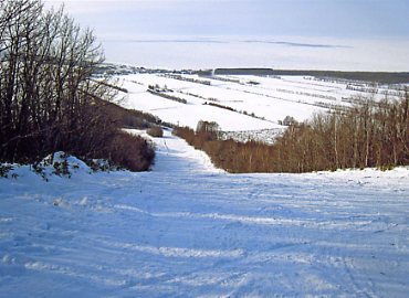 �E�i�x�c�X�L�[��