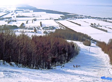 �E�i�x�c�X�L�[��