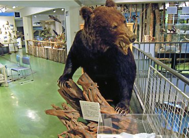 �m��������