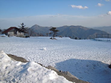 �V�獂���X�L�[��