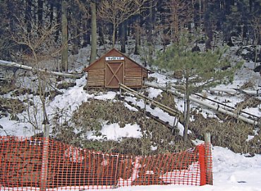 �v���X�L�[��